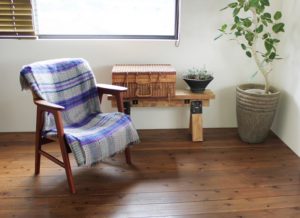 観葉植物のある生活